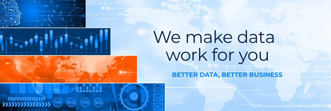 We Make Data Work For You